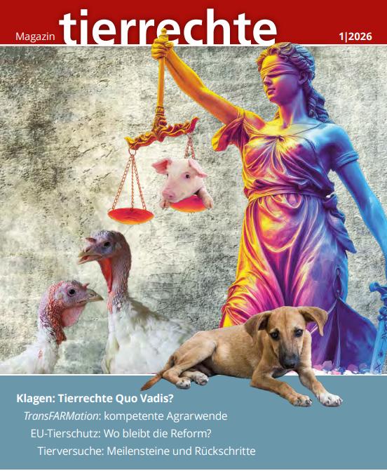 Magazin Tierrechte 01 2026