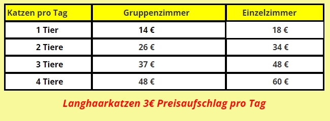 Katzenpension 3