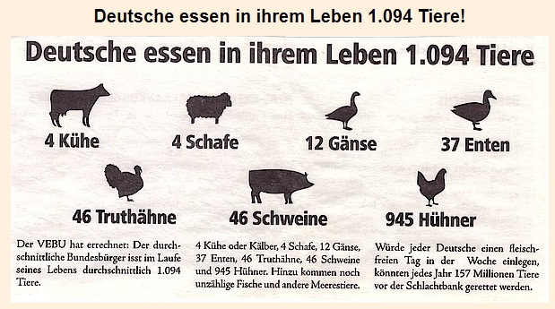 Leben ohne Tierleid 1
