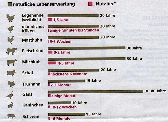 Tiere Lebenserwartung
