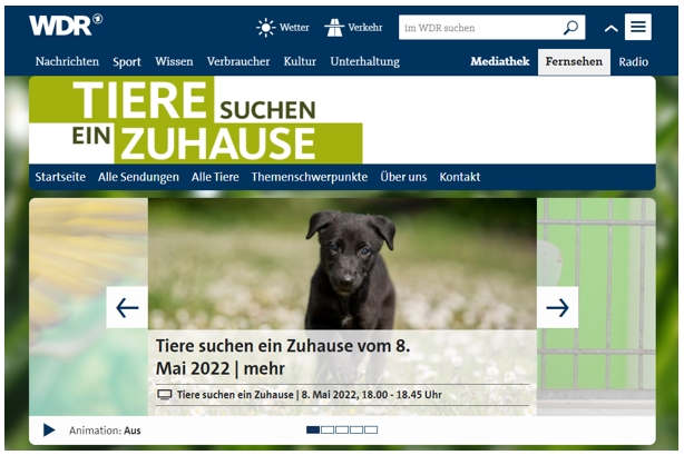 wdr tiere suchen ein zuhause