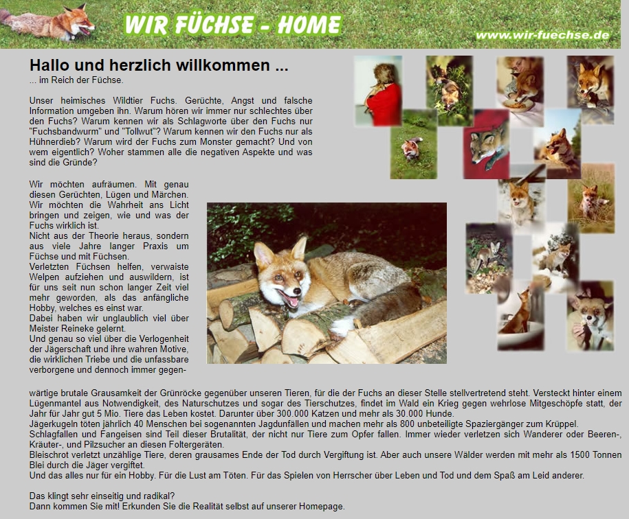 Füchse