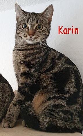 Karin