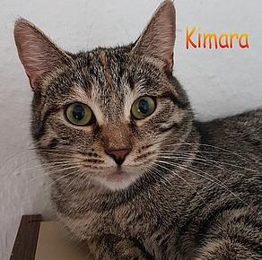 Kimara und co 01