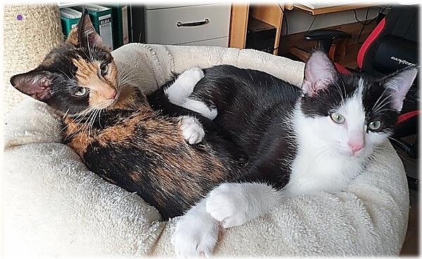 Rosi und Rudi