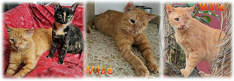 Willi und Vanessa 4a