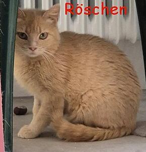 roeschen