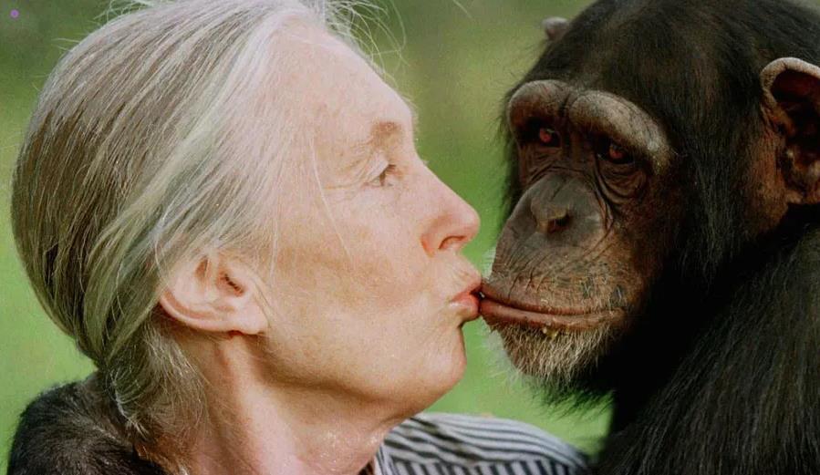 Jane Goodall