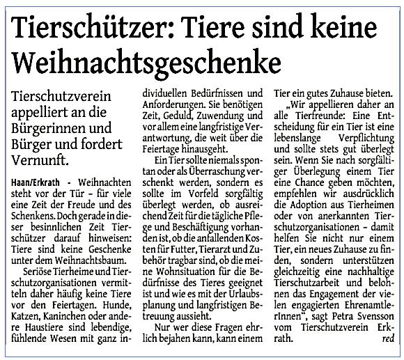 Katzen sind keine Weihnachtsgeschenke